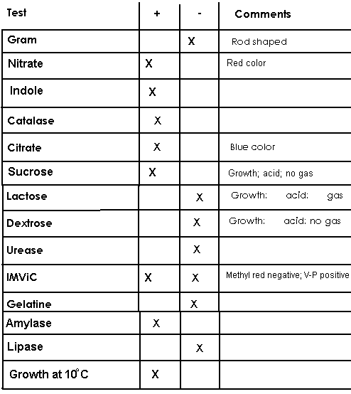 Imvic Test Results Chart