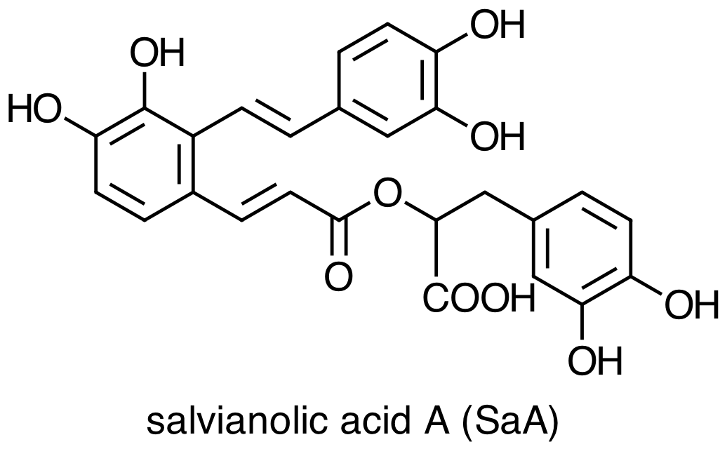 salvianolic acid A